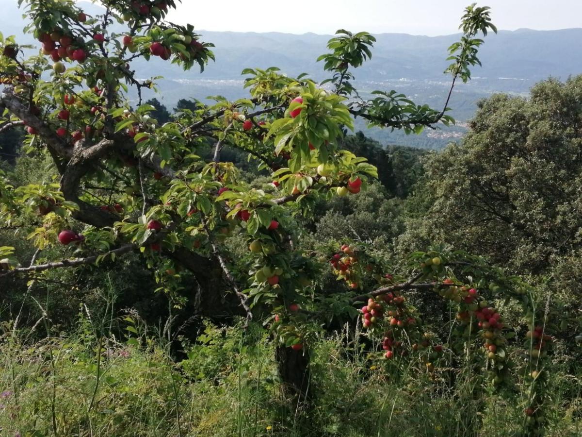 Can Llobet Espai Rural Slow Fogars de Montclus Buitenkant foto