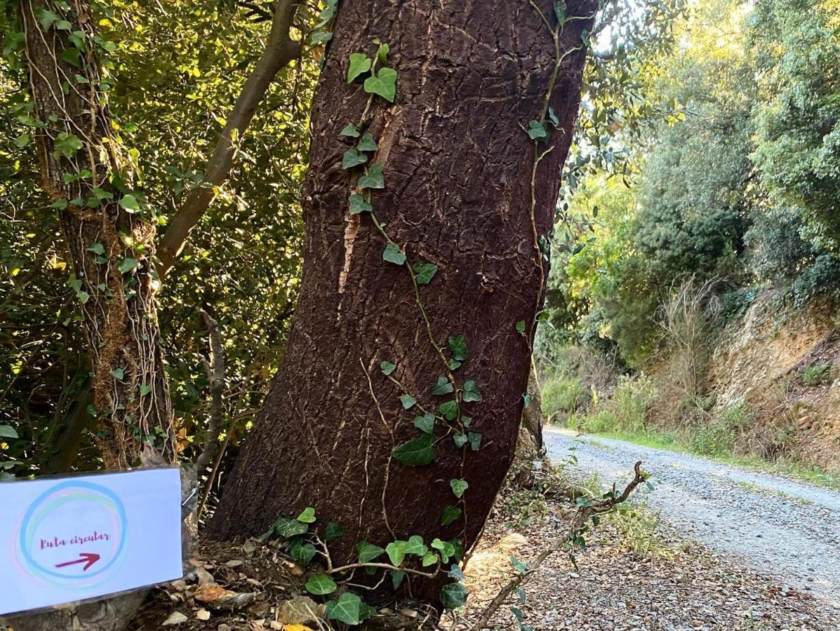 Can Llobet Espai Rural Slow Fogars de Montclus Buitenkant foto