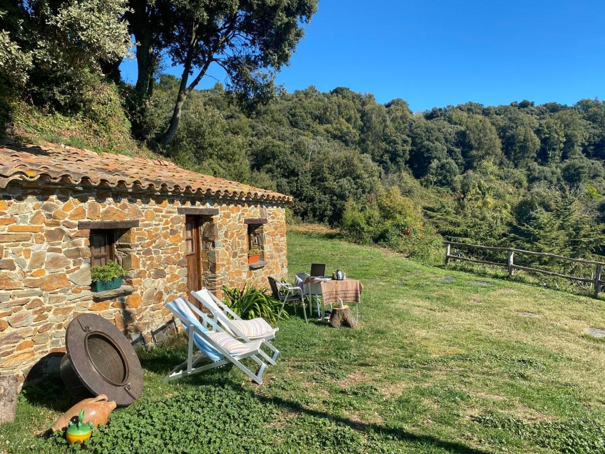 Can Llobet Espai Rural Slow Fogars de Montclus Buitenkant foto