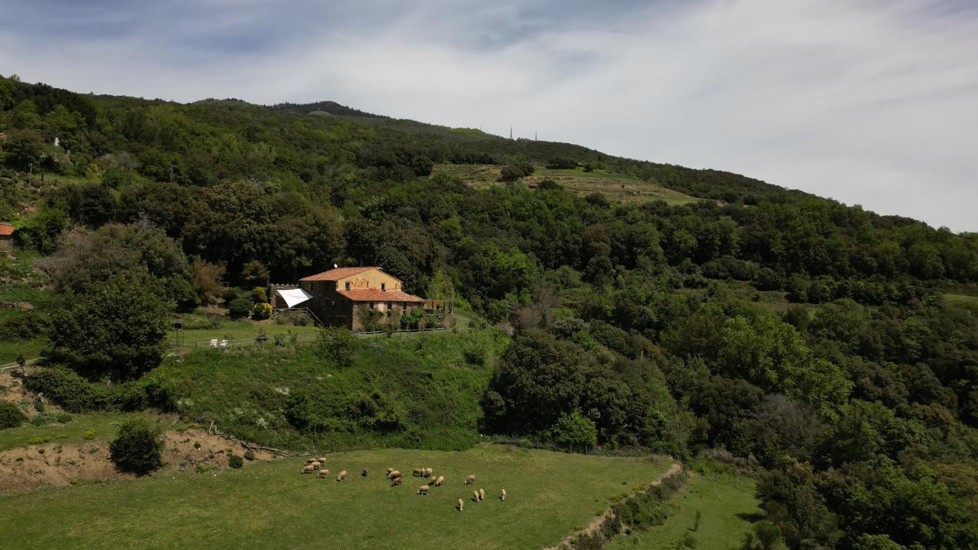 Can Llobet Espai Rural Slow Fogars de Montclus Buitenkant foto